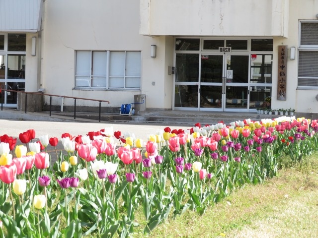 中仙小学校　学校紹介トップ