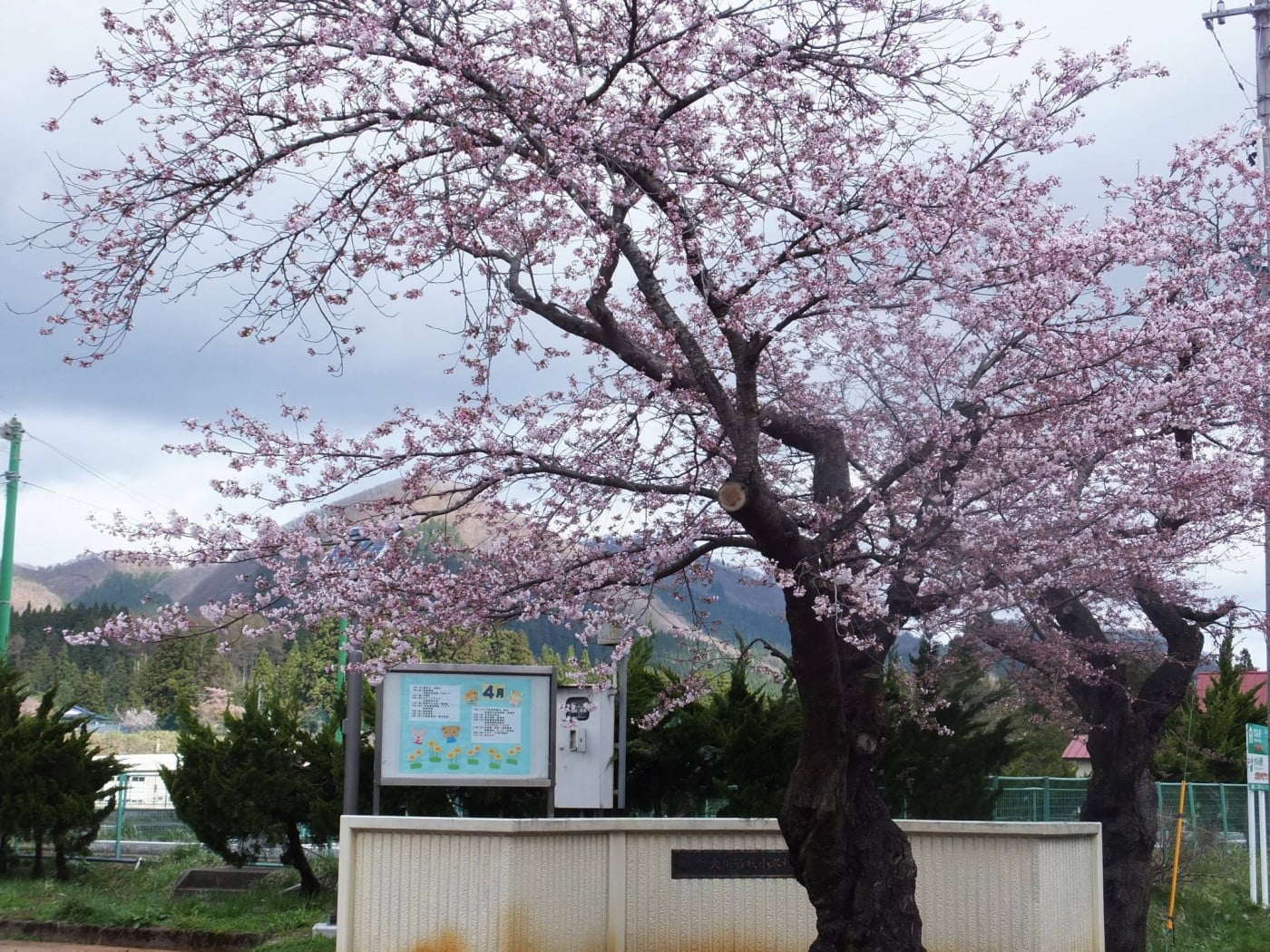 大川西根小学校スライド01